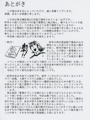 (輝針祭Z)&nbsp;&nbsp; [東西同人舎 (西國)] 針妙丸が小さくなあれ (東方Project)_29