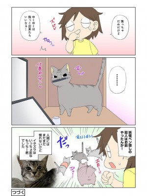 COMIC アナンガ・ランガ Vol.95_306