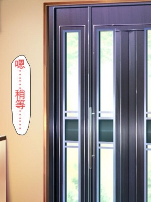 [ミミズサウザンド] どんな女の子にも生ハメセックスできる魔法のノート[中国翻訳]_245