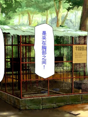 [ミミズサウザンド] セックスって気持ちイイ! -覚えたてのセックスで幼馴染とヤりまくる-[中国翻訳]_210