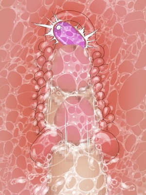 [LONGRIDE] 変態デブおじさん泣き虫姪っ子ギャルを四畳半で飼う2(今日は百合友とコミケでお手伝い前編)_600