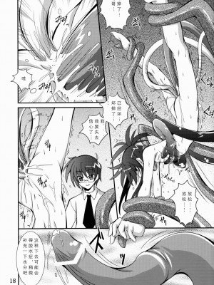 (コミコミ13) [夜の勉強会 (ふみひろ)] Mercurius (シスタープリンセス) [中国翻訳]_18