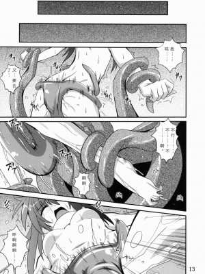 (コミコミ13) [夜の勉強会 (ふみひろ)] Mercurius (シスタープリンセス) [中国翻訳]_13