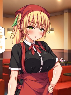 [一億万軒茶屋] エロエロウエイトレス達にエッチなオーダー!～特別会員向け裏メニュー～[中国翻訳]_357_357