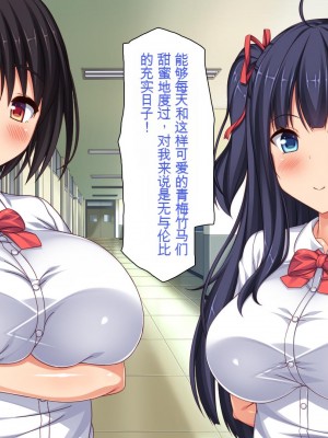 [一億万軒茶屋] 俺だけに優しい幼馴染姉妹とイチャラブセックスしまくる10日間[中国翻訳]_428_428_CG_13_35