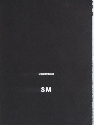 (C63) [STUDIO VANGUARD (水無月十三)] SM (美少女戦士セーラームーン)[中国翻訳]_02