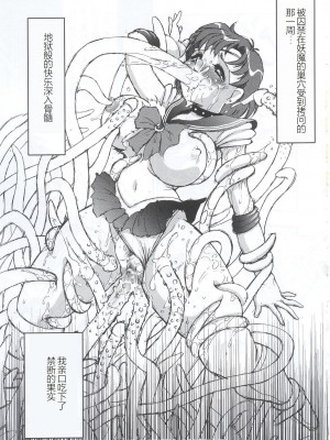 (C63) [STUDIO VANGUARD (水無月十三)] SM (美少女戦士セーラームーン)[中国翻訳]_12