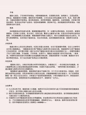 [acroyali] 碧蓝航线系列 孕肚花园本_11