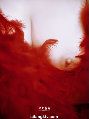 xo966_未时告白_006