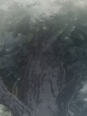 [可老] 優菈編_380