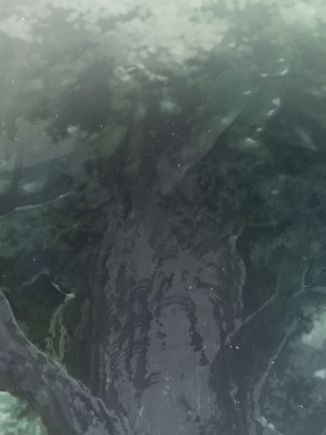 [可老] 優菈編_381