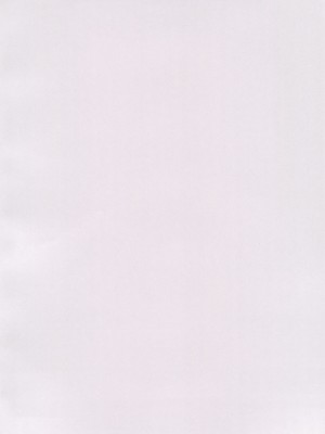 (コミティア144) [ざらざらかすてら (ふじたふじお)] 子供だって挿入したい!_04