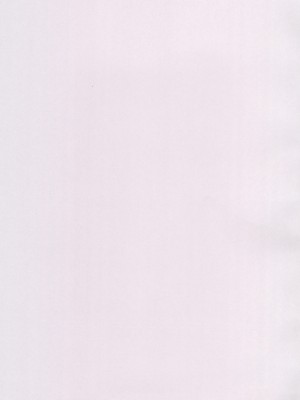 (コミティア144) [ざらざらかすてら (ふじたふじお)] 子供だって挿入したい!_03