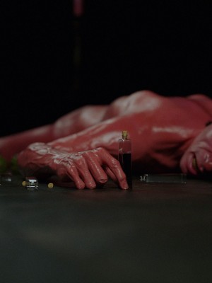 [Jared999D] Fallen Lady 7_FL7_007