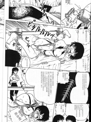 [K,M,M,R, 中性微子 (佐々木弘之)] 乱馬帝国 黎明編 (らんま1／2) [1998年12月10日] [中国翻訳]_14