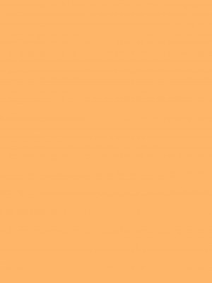 [清純突破漢化] (C80) [オレンジダイス (藤野マヒロ)] IMPOSSIBLE! (To LOVEる -とらぶる-)_36