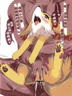 [悬赏大厅×真不可视汉化组] (関西!けもケット2) [バンガロゥ (白狛)] ポクロス (ポケットモンスター)_06