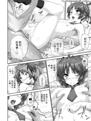 [52H里漫画组] (C77) [比較的シンプルなパンティ (イモネイド寮長)] チチとバストと乳房厨 (バカとテストと召喚獣)_019