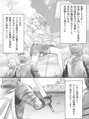 [OHS] スレイブ・セレナ_02