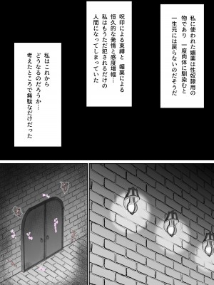[OHS] スレイブ・セレナ_09