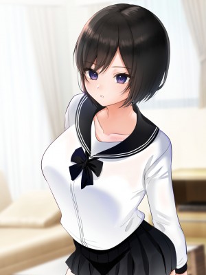 [きれいなお姉さんは好きです会] 妹と内緒の子作り生活。排卵日は中出しだよ_209