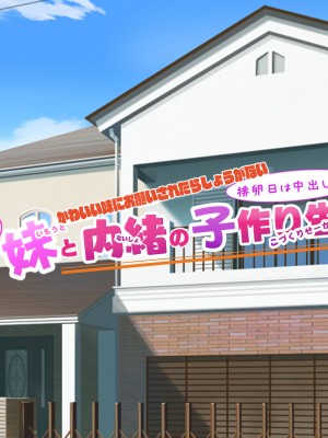 [きれいなお姉さんは好きです会] 妹と内緒の子作り生活。排卵日は中出しだよ_134