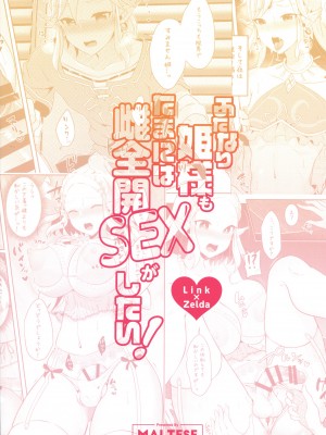 [まるちぃず (るんるん)] ふたなり姫様もたまには雌全開SEXがしたい！ (ゼルダの伝説 ブレス オブ ザ ワイルド) [不咕鸟汉化组]_02
