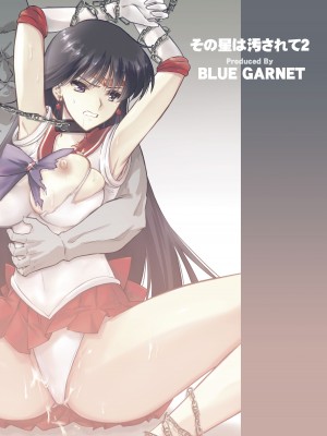 [ブルーガーネット (芹沢克己)] その星は汚されて (美少女戦士セーラームーン) [胸垫汉化组]_38