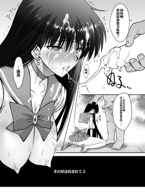 [ブルーガーネット (芹沢克己)] その星は汚されて (美少女戦士セーラームーン) [胸垫汉化组]_28