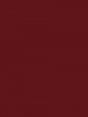 [きゃらだいん] おちんちんついてるだけのおんなの子 [瑞树汉化组]_04