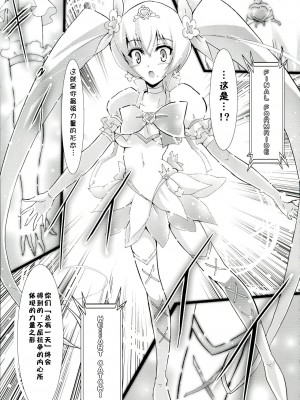 (ぷにケット22) [C.R's NEST (雅川佐倉, しーあーる)] SILHOUETTE HEART (ハートキャッチプリキュア!) [中国翻訳]_27