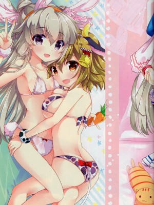 (C95) [AliceGarden (ひなたもも)] A-G Colors 2_12_11