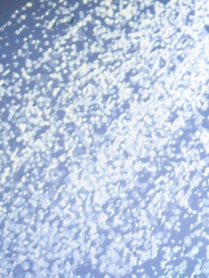 [少女騎士団 (大槍葦人)] 「かわいい後輩がセフレになってあげますね♥」_079