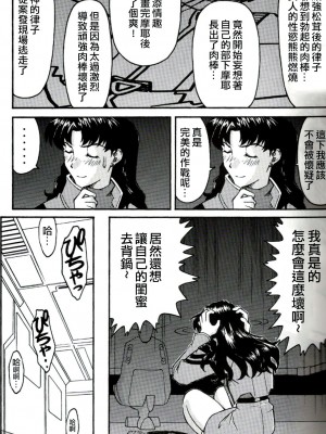 (C71) [天狗のつづら (黒てんぐ)] A wild fancy (新世紀エヴァンゲリオン) [中国翻訳]_25