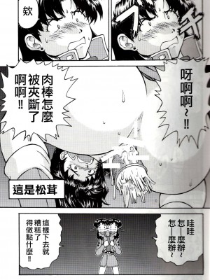 (C71) [天狗のつづら (黒てんぐ)] A wild fancy (新世紀エヴァンゲリオン) [中国翻訳]_21