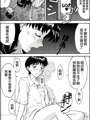 (C71) [天狗のつづら (黒てんぐ)] A wild fancy (新世紀エヴァンゲリオン) [中国翻訳]_28