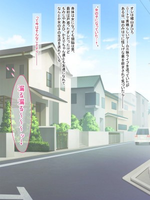 [女騎士の城 (雪味あいりす)] オナニーでパーになって処女卒業し、変態生配信するTS美少女ちゃん (ちゃんはおしまい!)_011