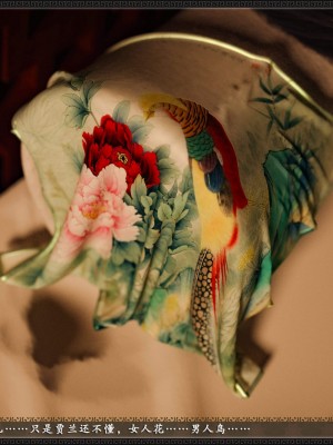 [zhushiwo123] 风月宝鉴 09-11_11_050