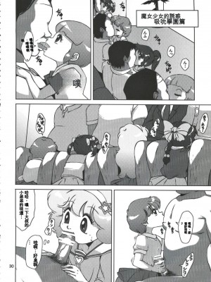 (C84) [オールドスクールアカデミー (雨珠秋比人)] 魔女っ子★ふぇち (よろず) [中国翻訳]_29