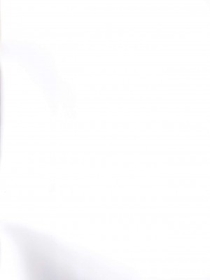 (プリキュアまつりDX9) [はたけのお肉 (みな本)] 猫のおもちゃ (キラキラ☆プリキュアアラモード)_002