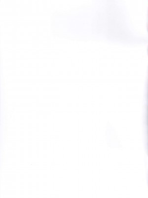 (プリキュアまつりDX9) [はたけのお肉 (みな本)] 猫のおもちゃ (キラキラ☆プリキュアアラモード)_019