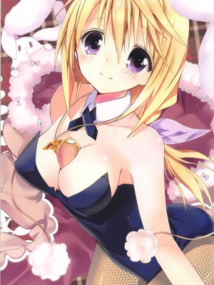 (C84) [おとな出版 (ひつじたかこ)] IS総集編 (IS＜インフィニット・ストラトス＞)_002