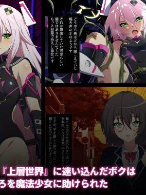 [SecretLover (きーはっく)] 嗜虐兆候～魔法少女ミストウィーバーの眩惑～_002