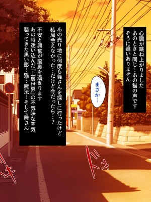 [SecretLover (きーはっく)] 嗜虐兆候～魔法少女ミストウィーバーの眩惑～_027