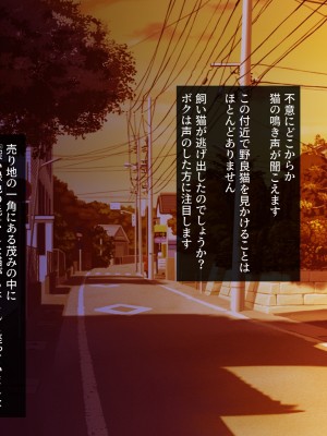 [SecretLover (きーはっく)] 嗜虐兆候～魔法少女ミストウィーバーの眩惑～_007