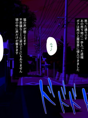 [SecretLover (きーはっく)] 嗜虐兆候～魔法少女ミストウィーバーの眩惑～_028