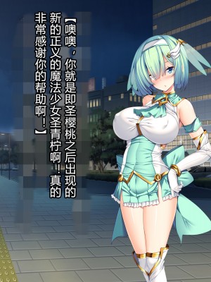 [とりのおいしいところ] 聖宝晶華セイントライム ～連鎖の堕落調教編～[村长个人汉化][RJ344679]_026