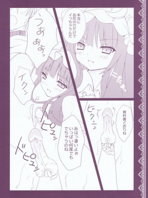 (C76) [きのこのみ (kino)] ぱちゅりーのお勉強 (東方Project)_014