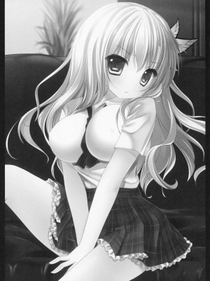 (C81) [きのこのみ (kino)] はじめての星奈 (僕は友達が少ない)_002