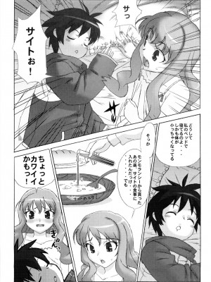 (C71) [スタジオ・ワラビー (たくじ)] 小悪魔PINK (ゼロの使い魔)_006